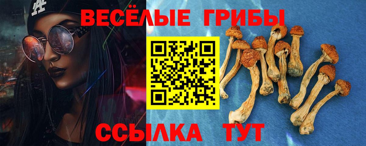Псилоцибиновые грибы Magic Shrooms Новочебоксарск